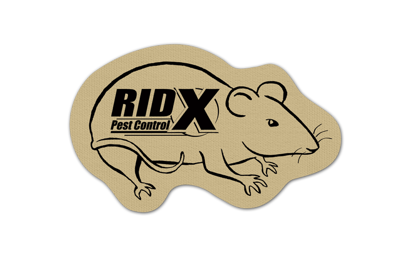 Rat/Mouse Rubber Jar Opener 55