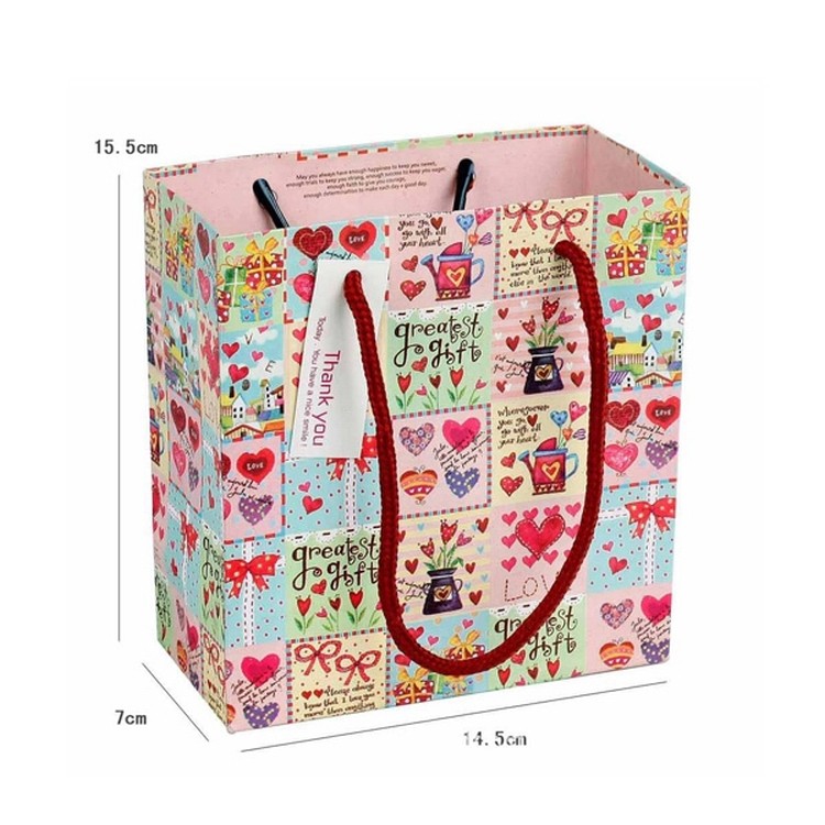 Luxury Paper Laminated Rope Handled Bag 2