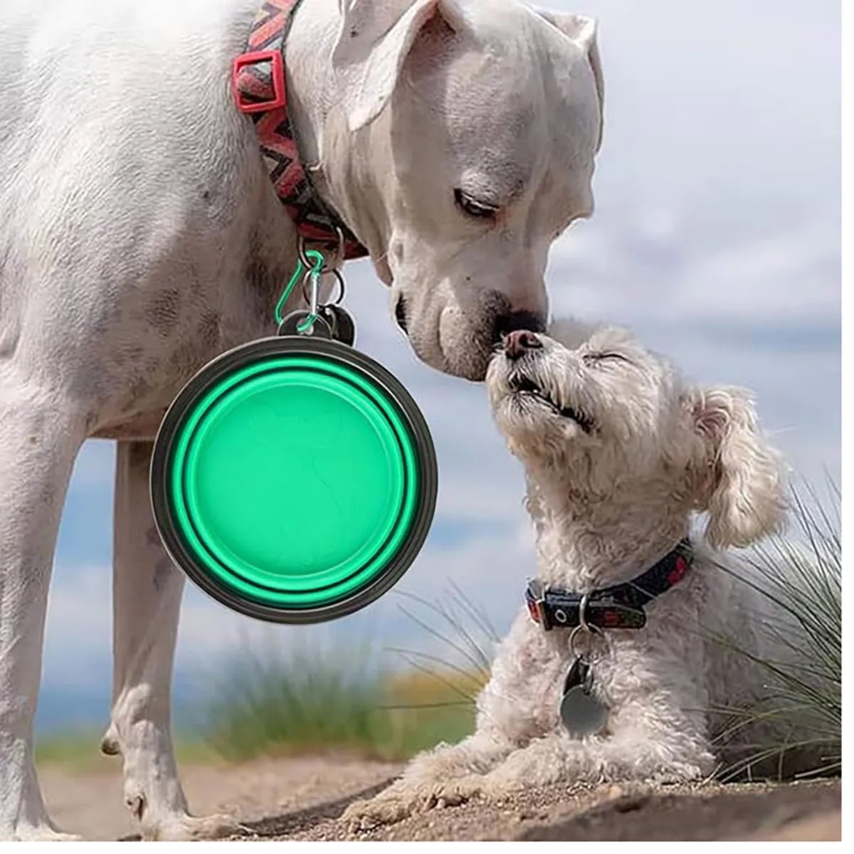 Foldable Pet Water Bowl Dog Cat Feeder 5