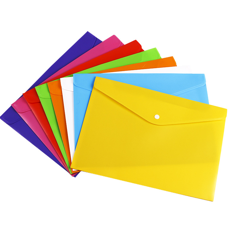A4 Clear Document Bag 2