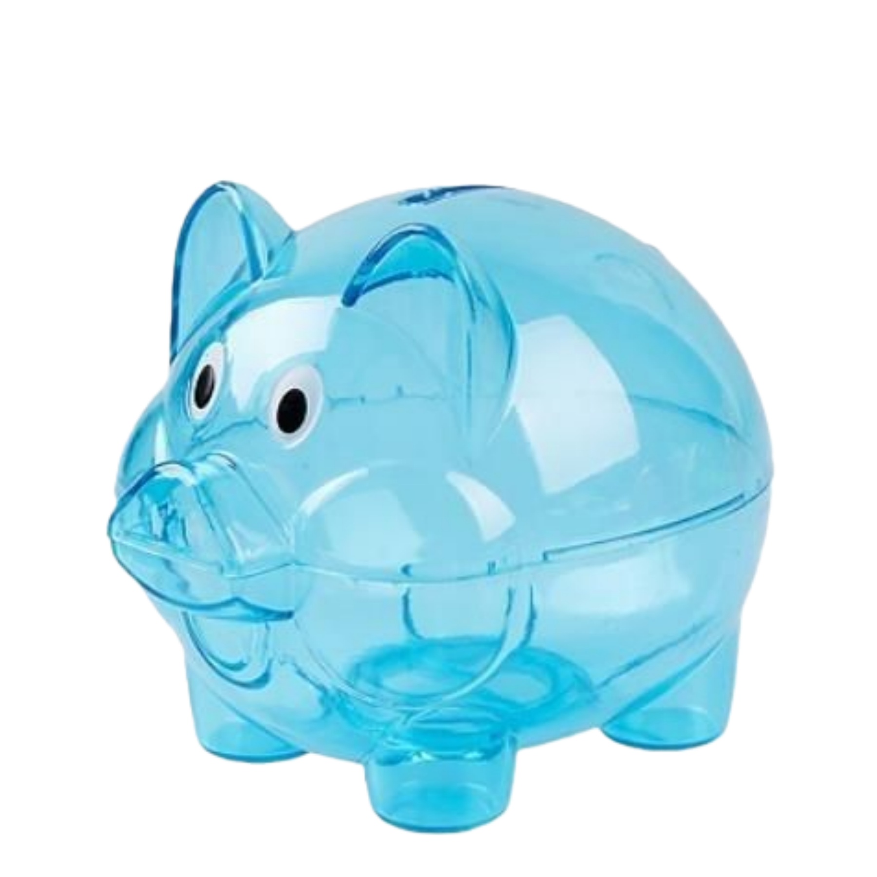 Clear Plastic Piggy Bank 4