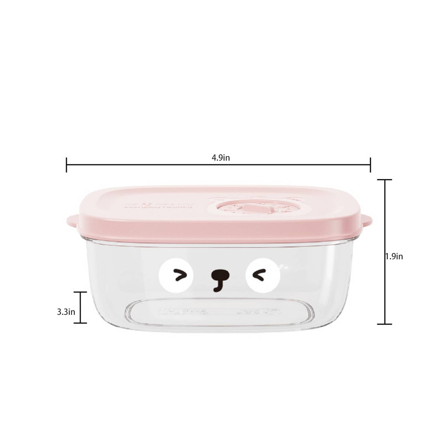 Plastic Transparent Lunch Box 4