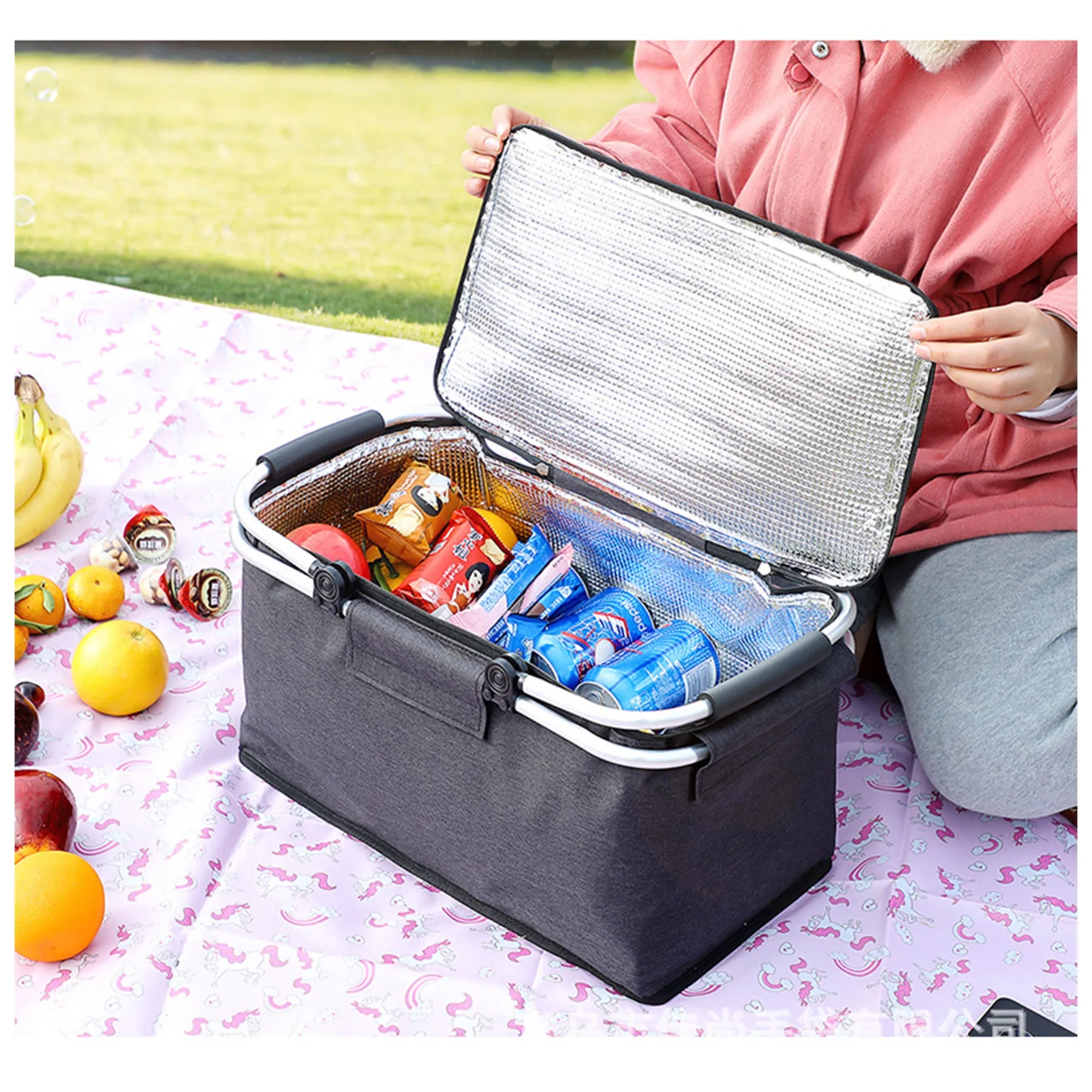 Large Insulated Portable Picnic Lunch Bag 2