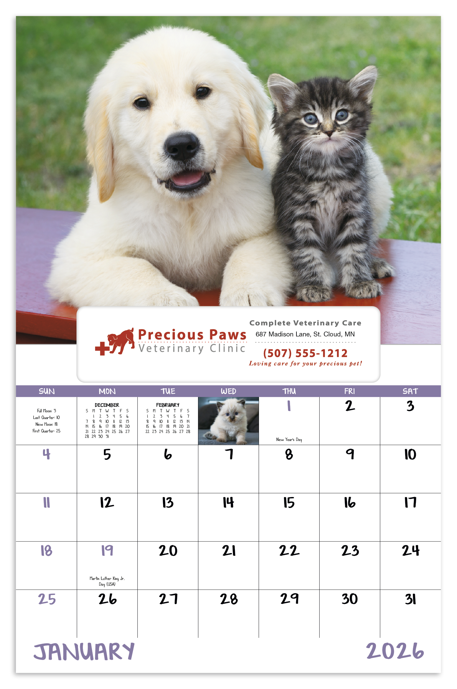 Good Value™ Puppies & Kittens - Window Calendar 31