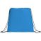 Evergreen Non-Woven Drawstring Bag 188