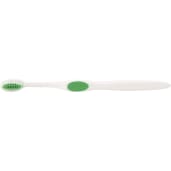 Winter Accent Toothbrush 36