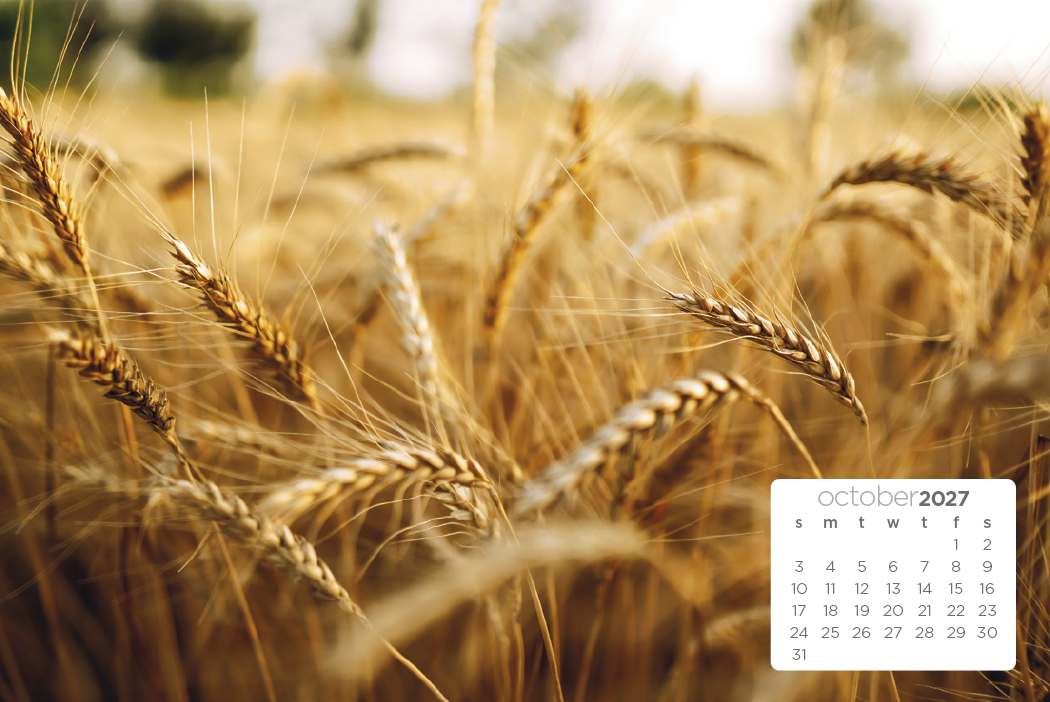 Triumph® Calendars Simplicity Large Desk Calendar 42