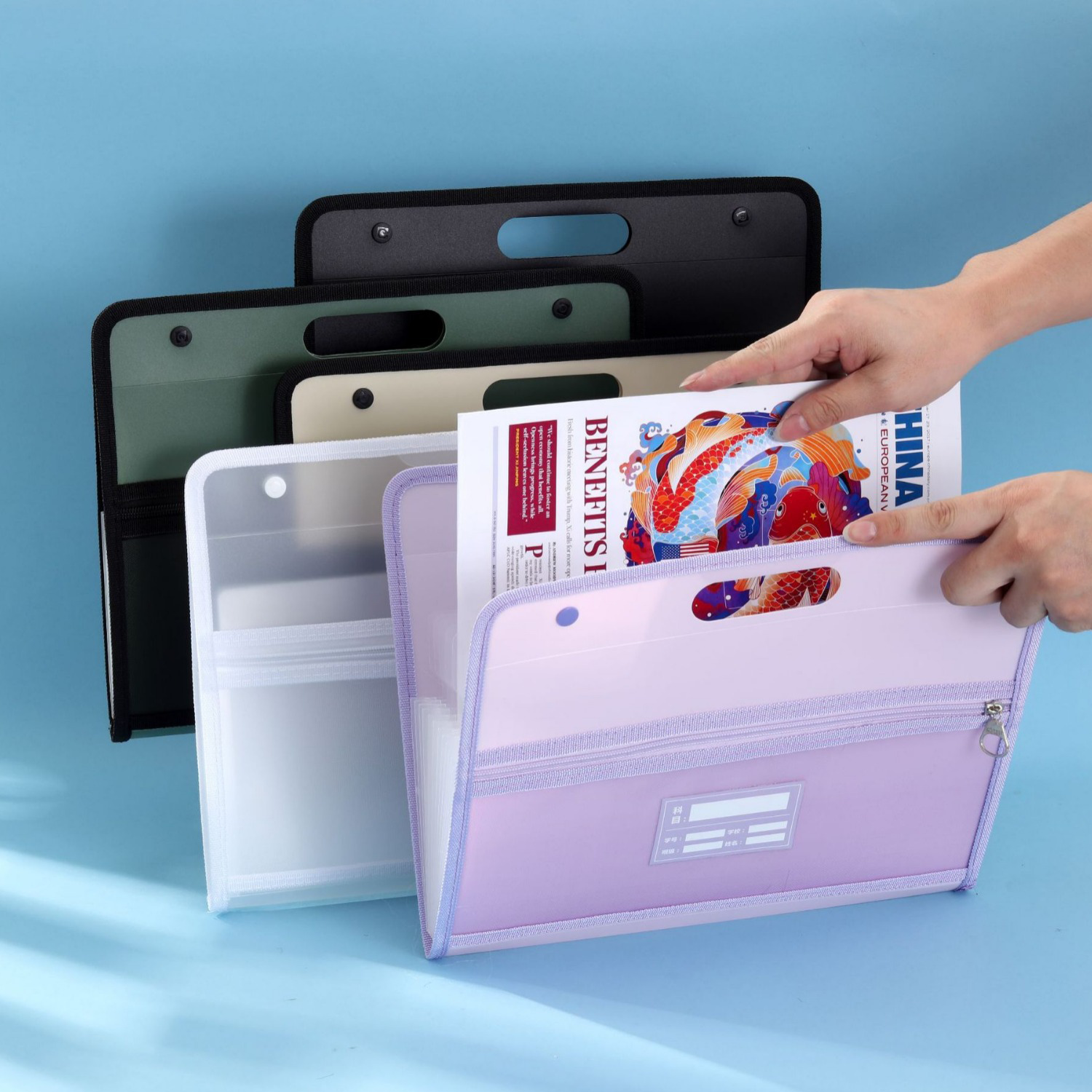 File Folder 12