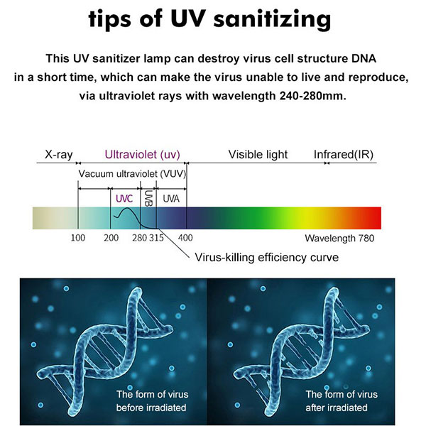 Portable UV disinfection lamp 5
