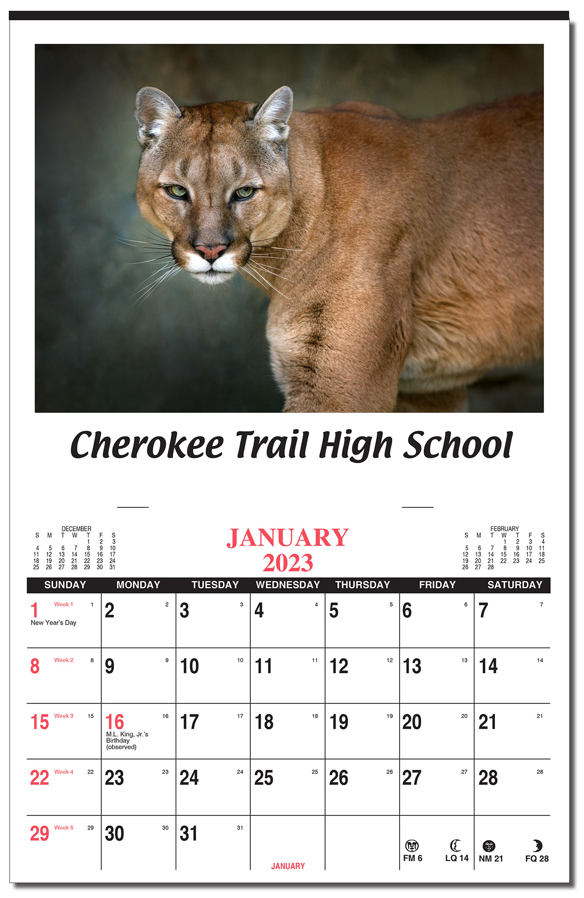 12 Month Apron Wall Calendar