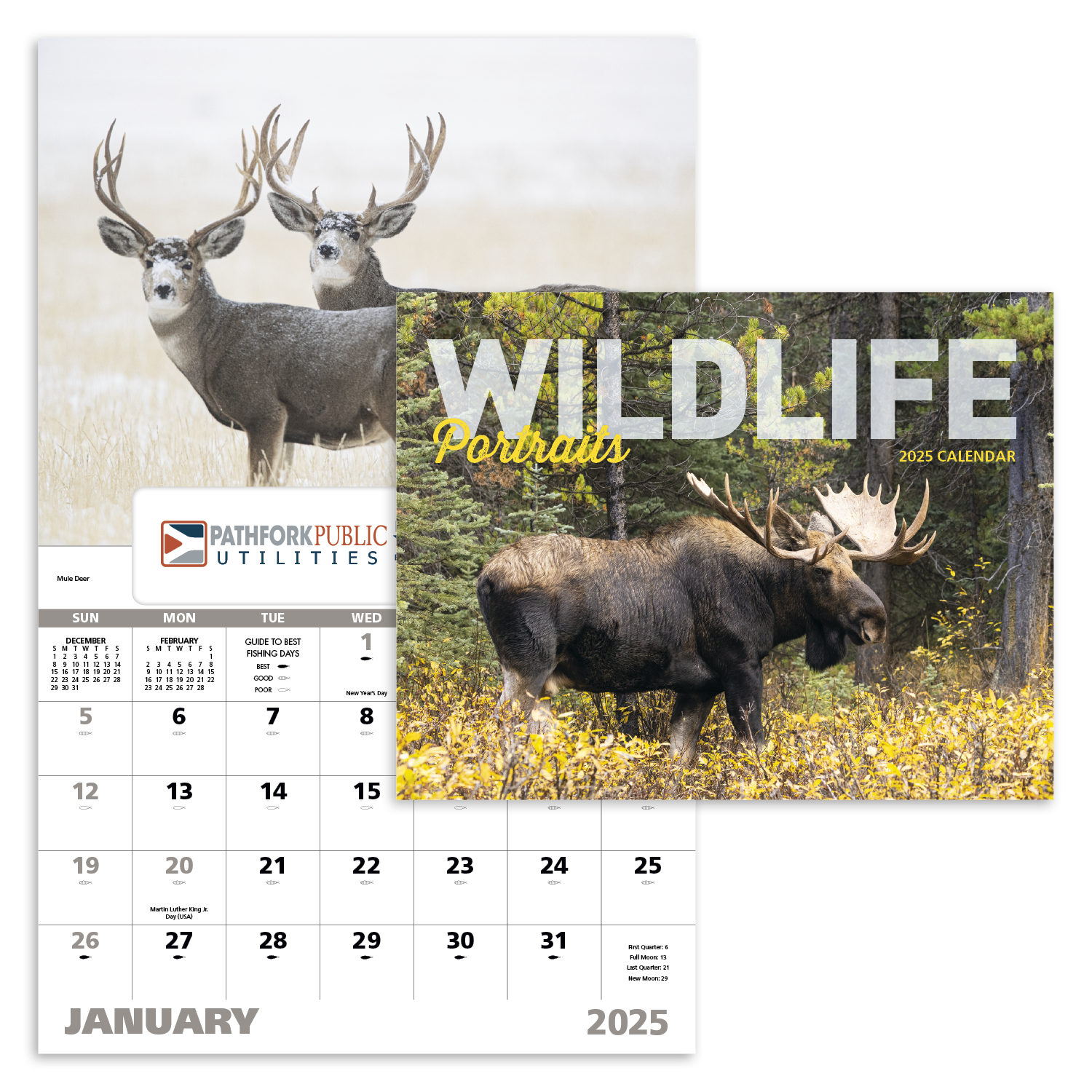 Good Value™ Wildlife Portraits - Window Calendar 33