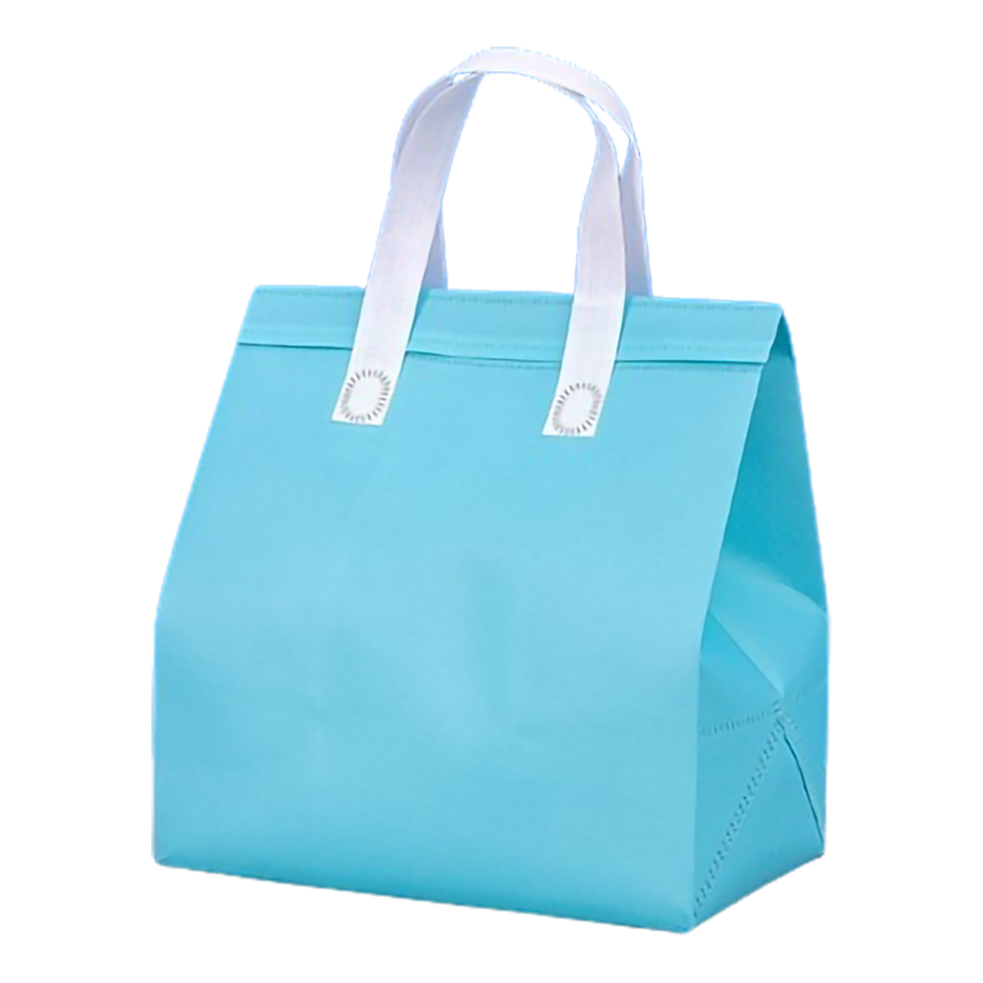 Waterproof Cooler Insulated Tote Bag MOQ50 9