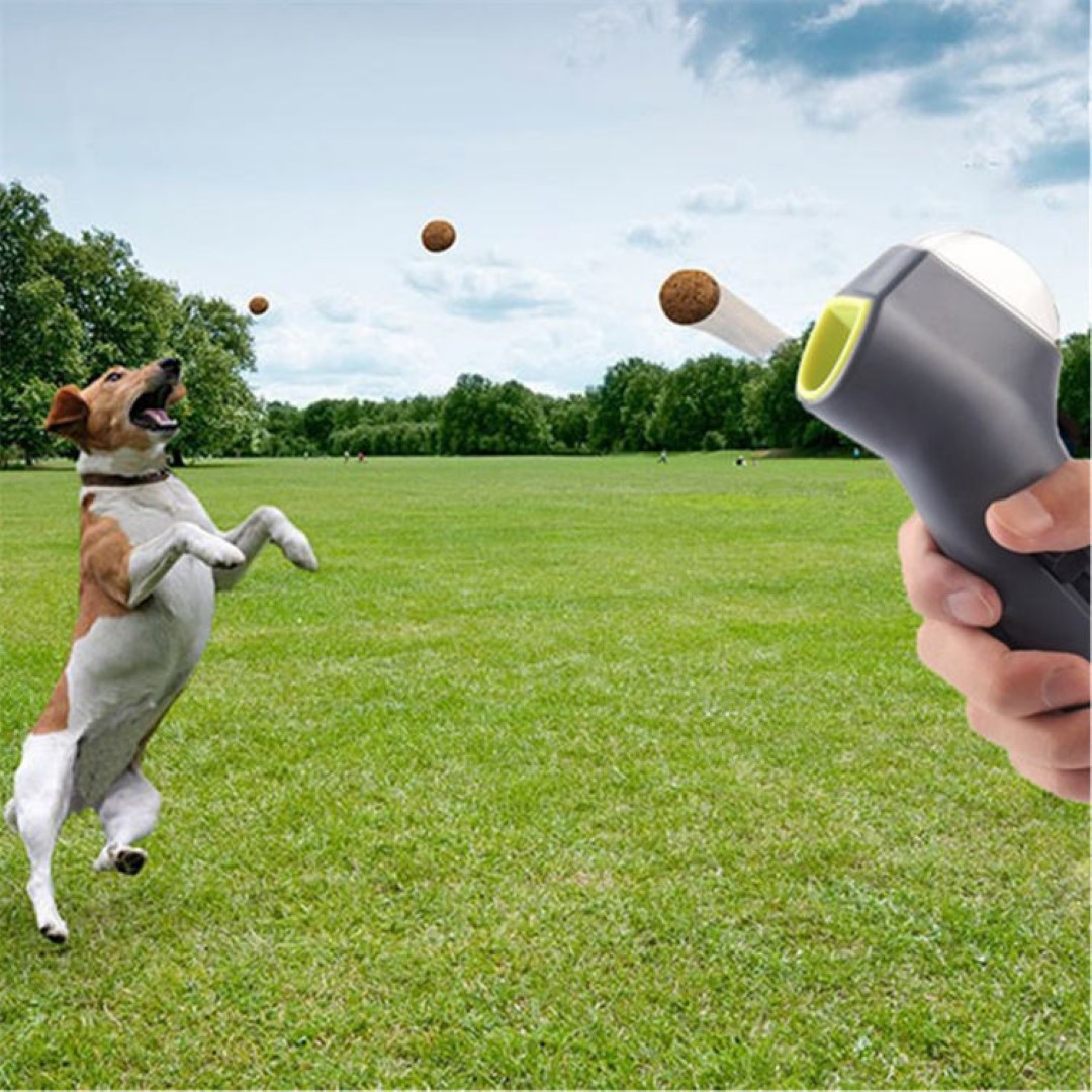 Pet Treat Launcher 4