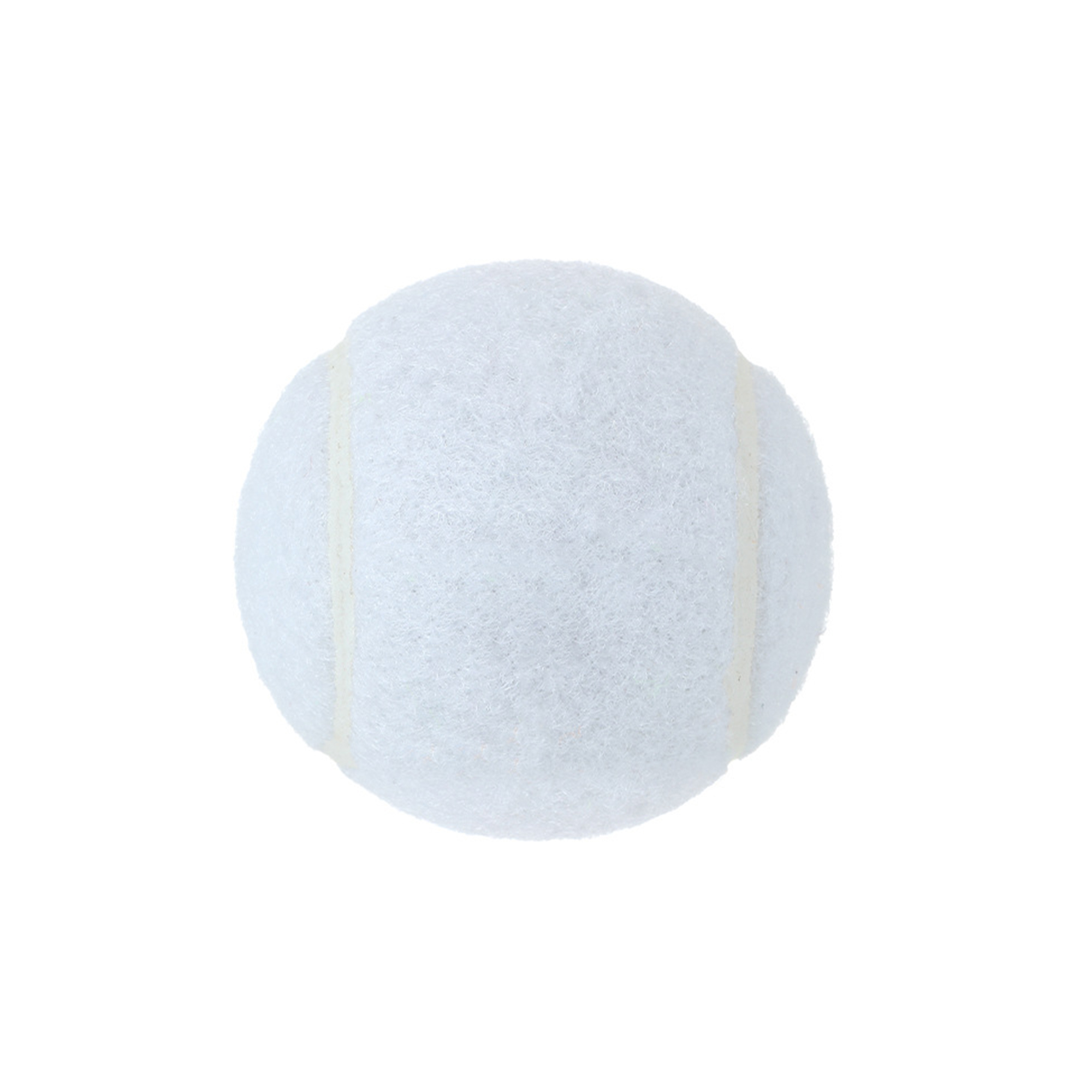 Pet Training Tennis Ball 2.5" Diameter 11