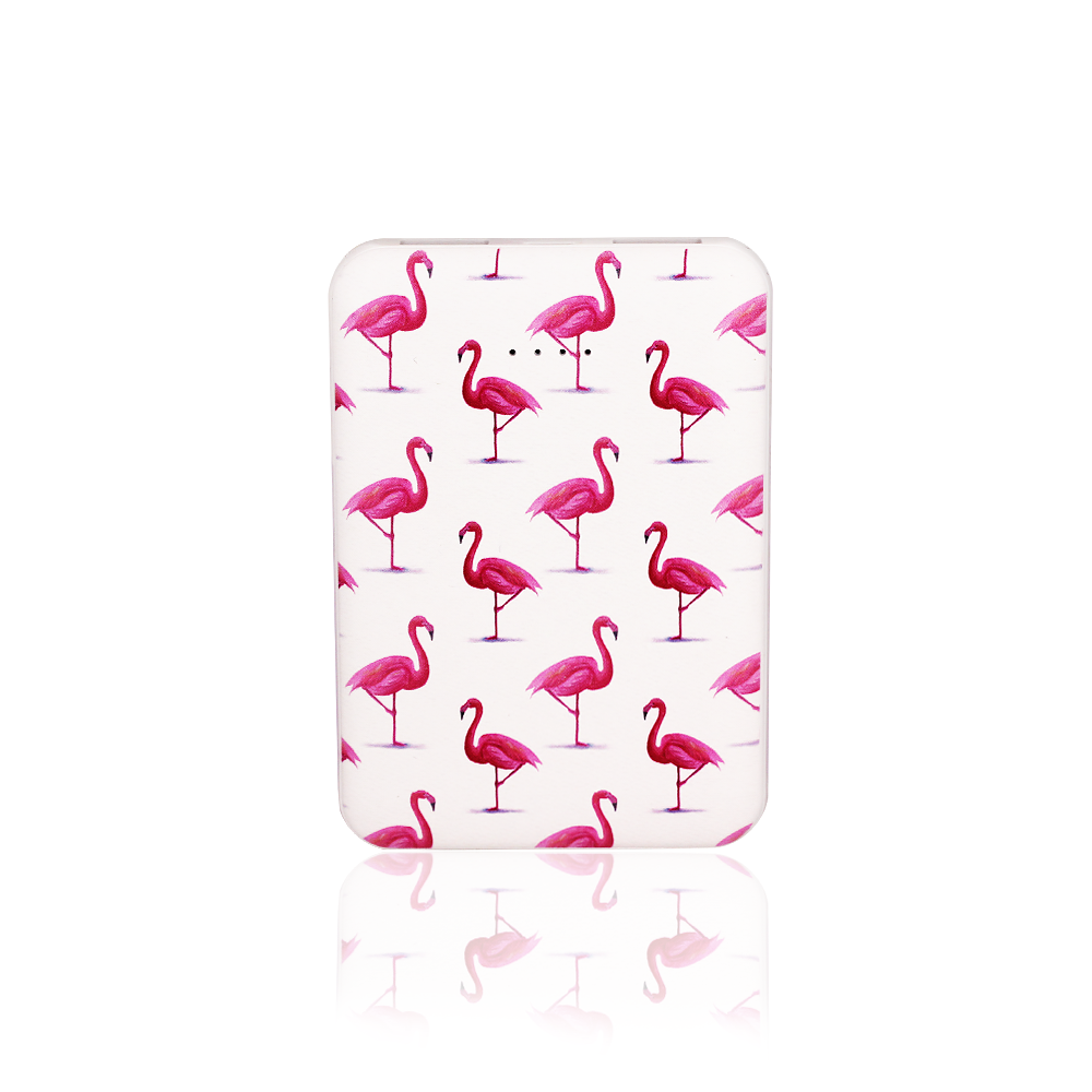 Full Color Portable Power Bank