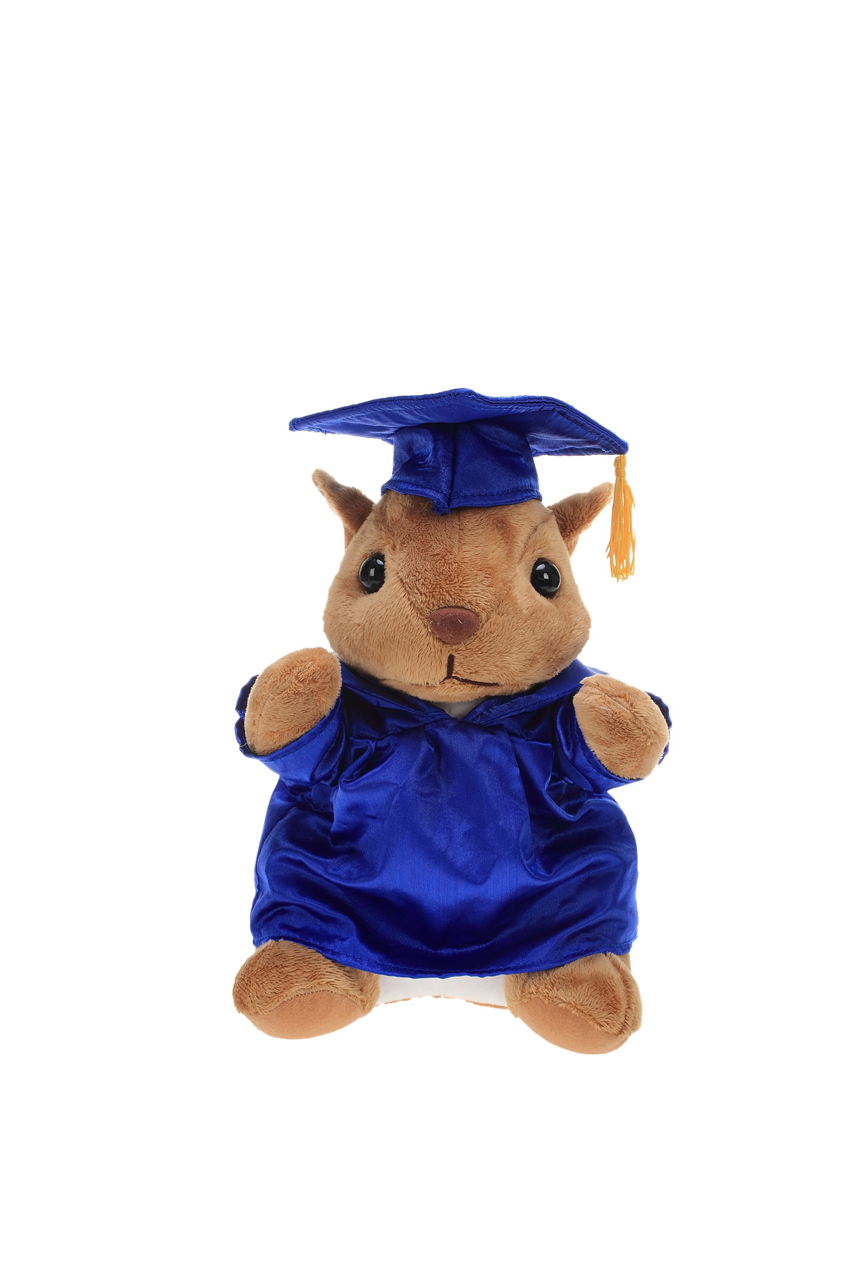 Soft Plush Sitting Squirrel with Graduation Cap & Gown 3