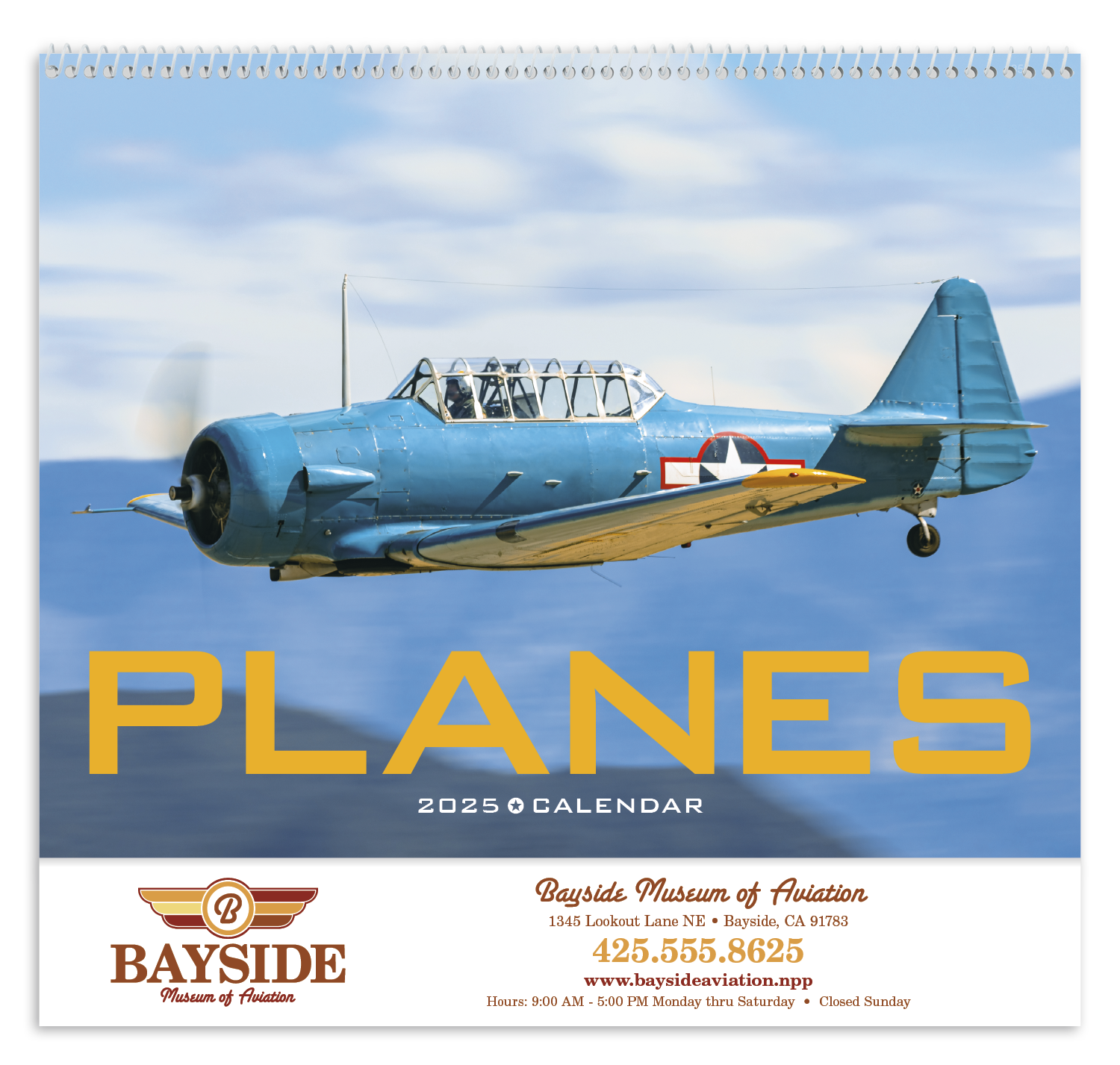 Triumph® Calendars Planes Calendar 20