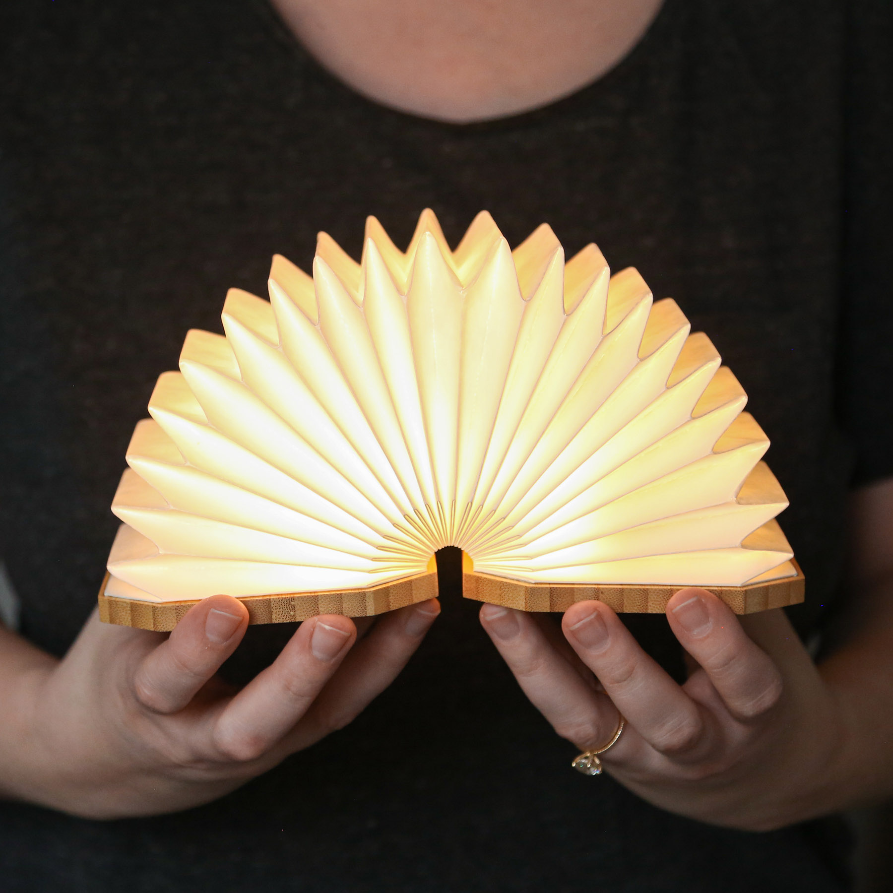 Accordio Light 5