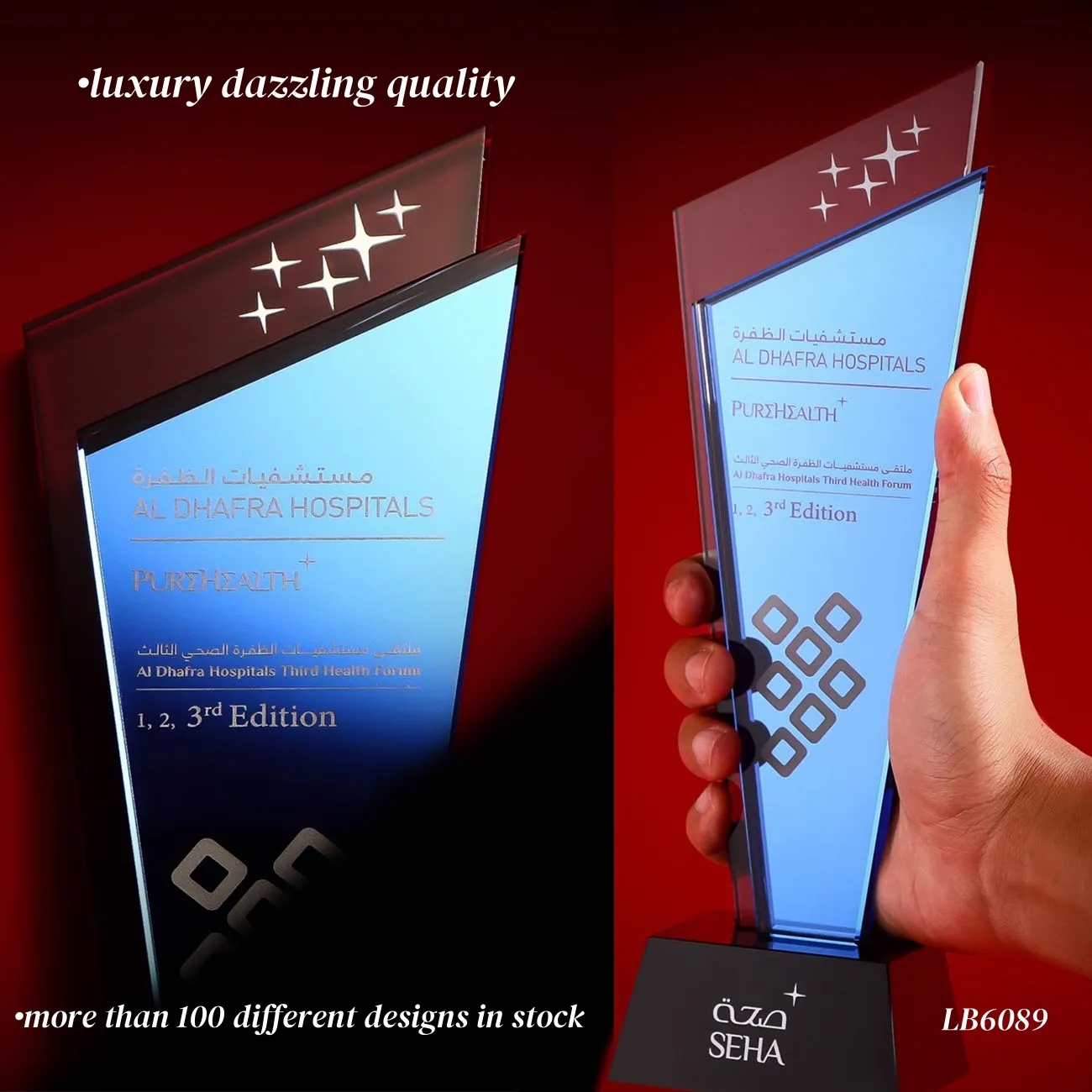 Engraved Crystal Award Appreciation Trophy 6