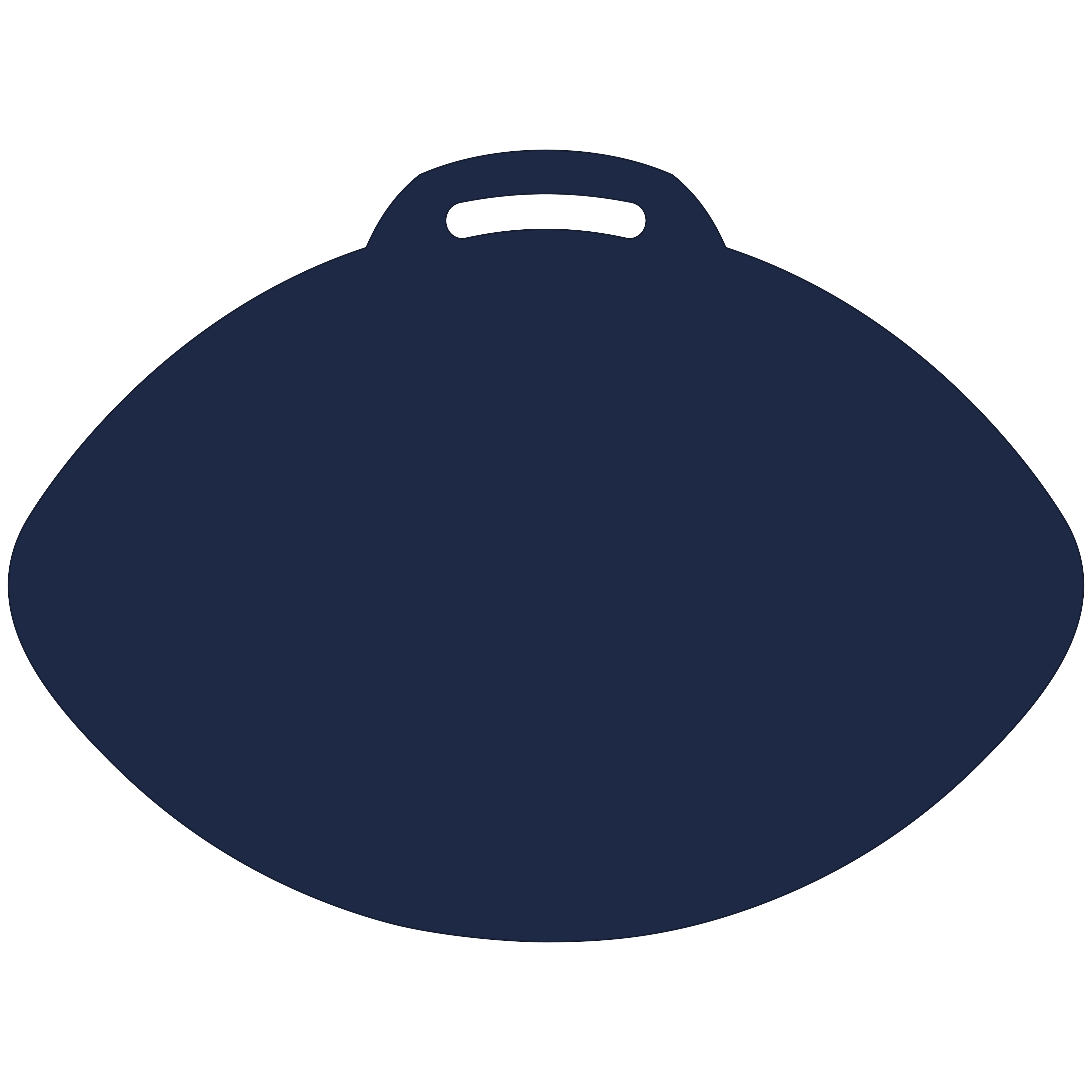 Football-Shaped Vinyl Stadium Cushion (18") 13