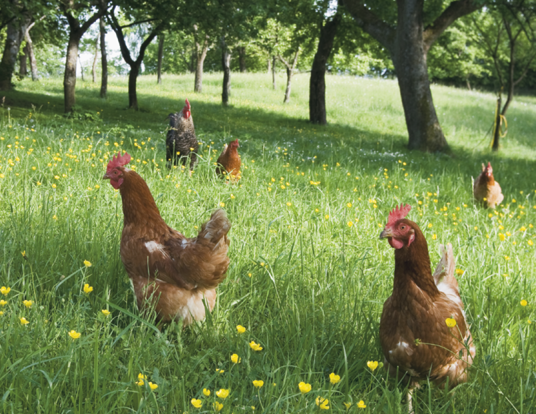 Good Value™ Agriculture - Stapled Calendar 11