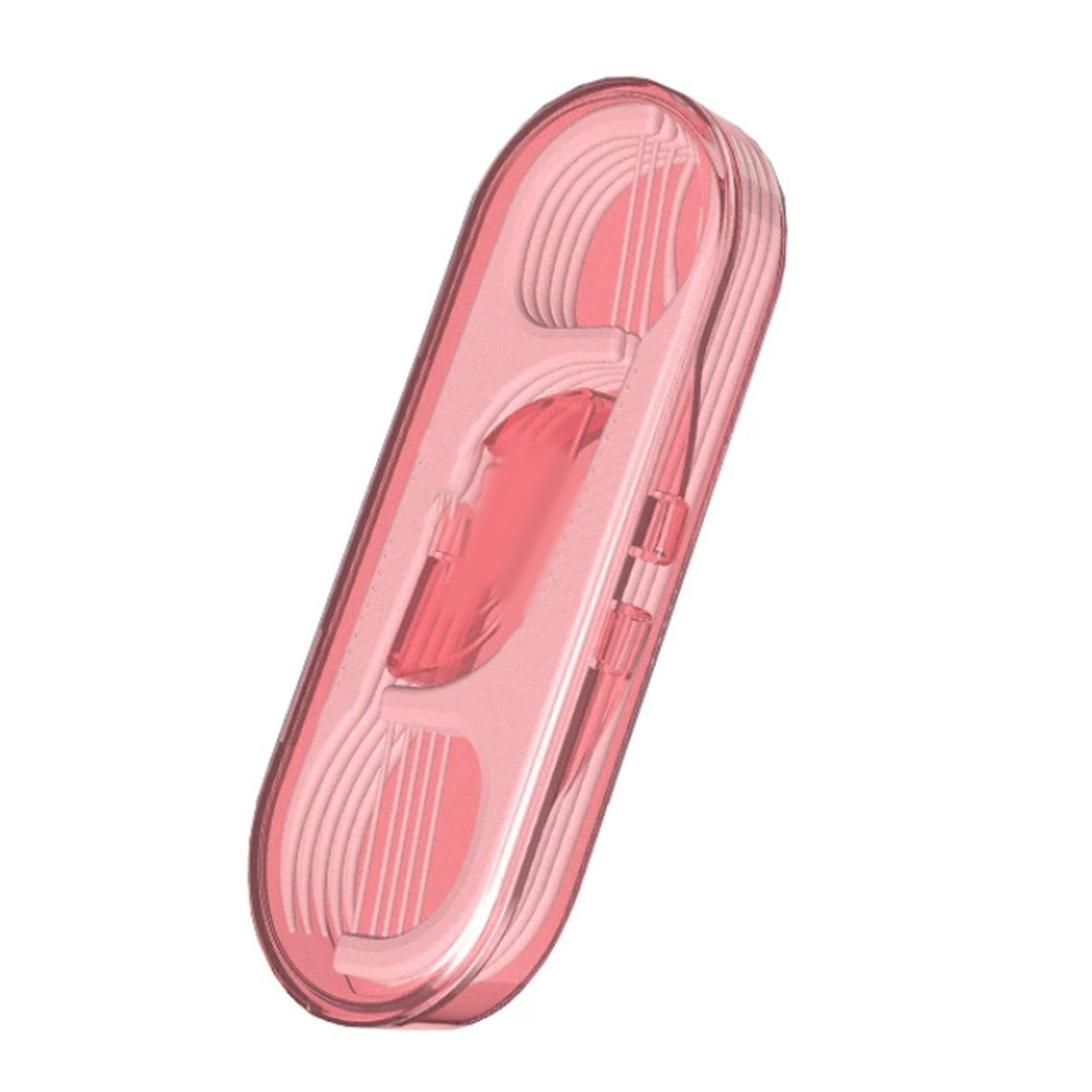 Portable Dental Floss With Box 2