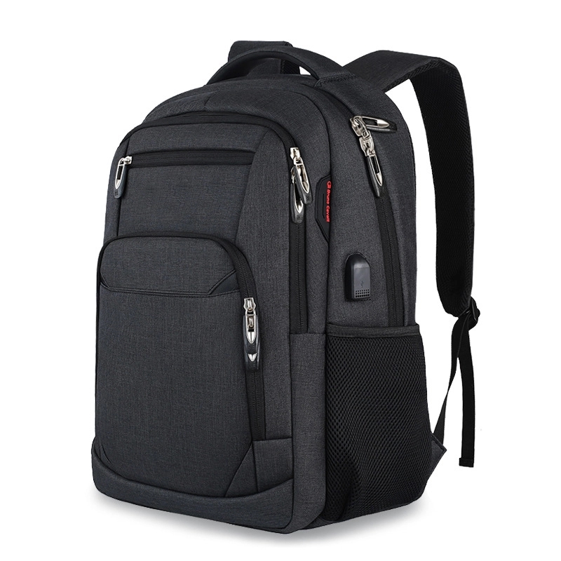 Computer Backpack 1
