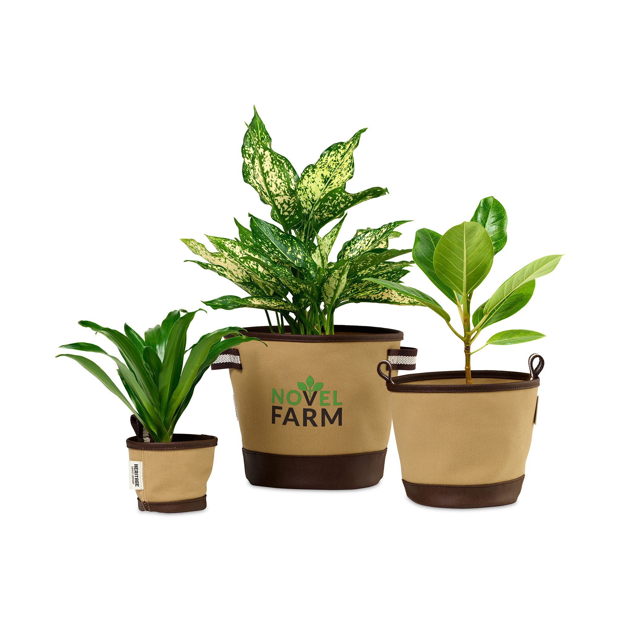 Heritage Supply™ Plant, Grow and Store Trio of Pots 2