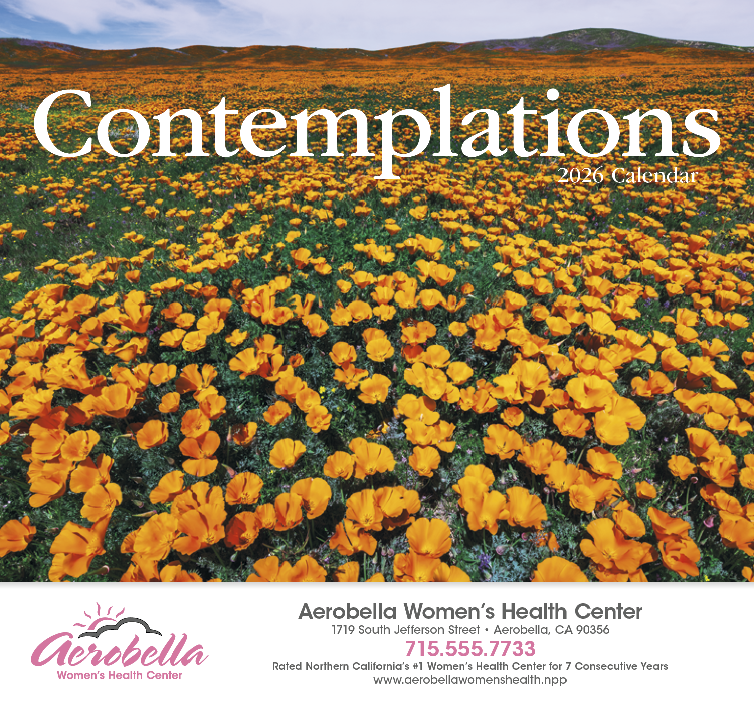 HotLine® Products Contemplations Appointment Calendar - Stapled 14