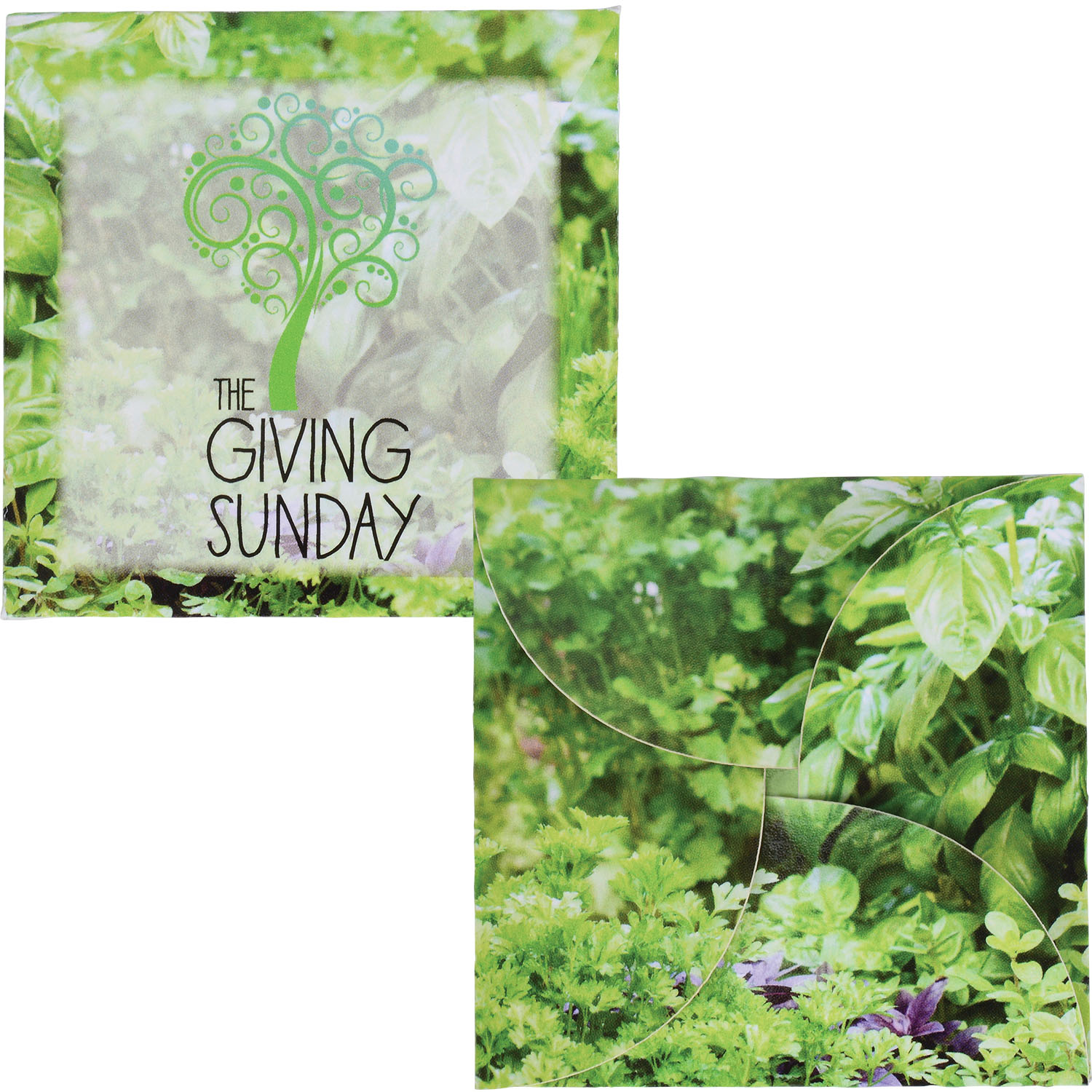 "Say it with Seeds" Envelope - Herbs 1