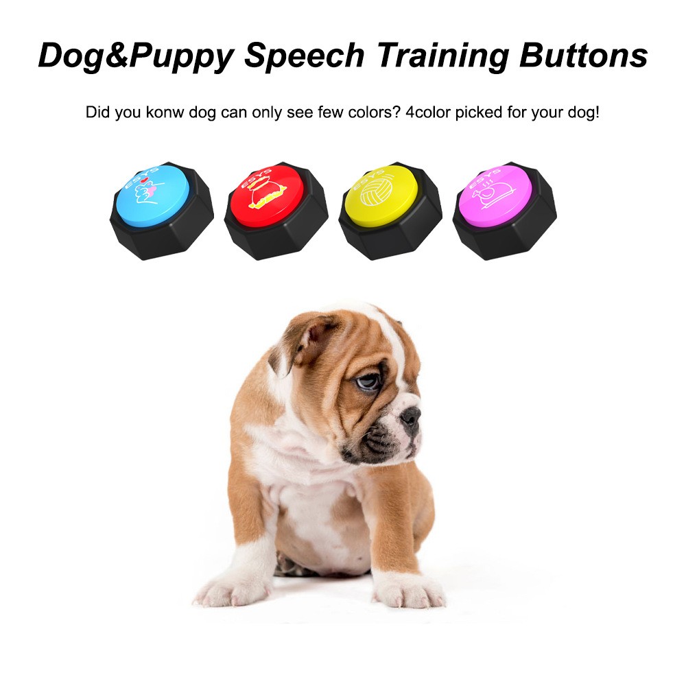 Custom Sound Recording Button 3