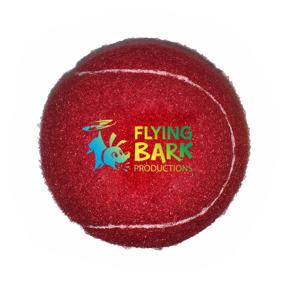 Full Color Fido's Dog Ball 2