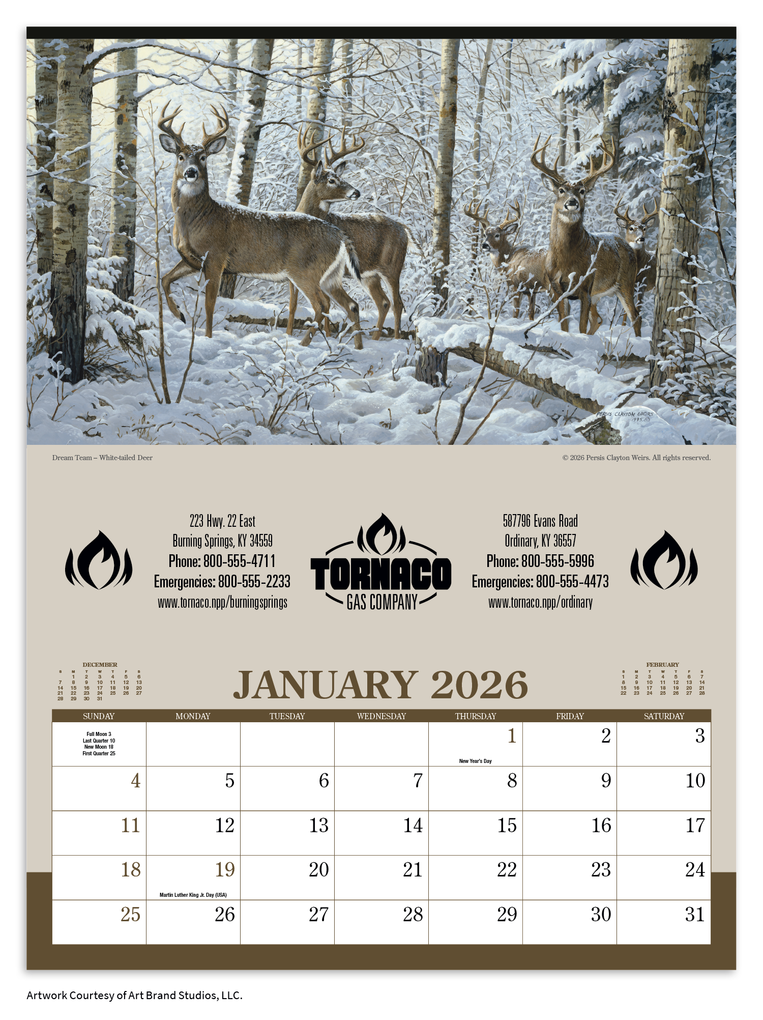 Triumph® Calendars Wildlife Art Calendar 35
