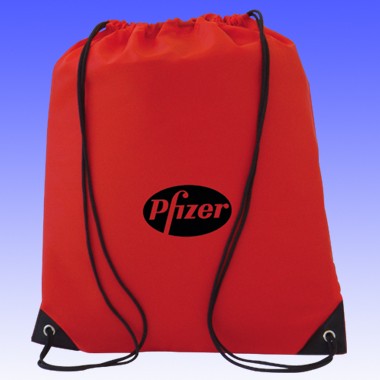 FLAT DRAWSTRING BACKPACK 2