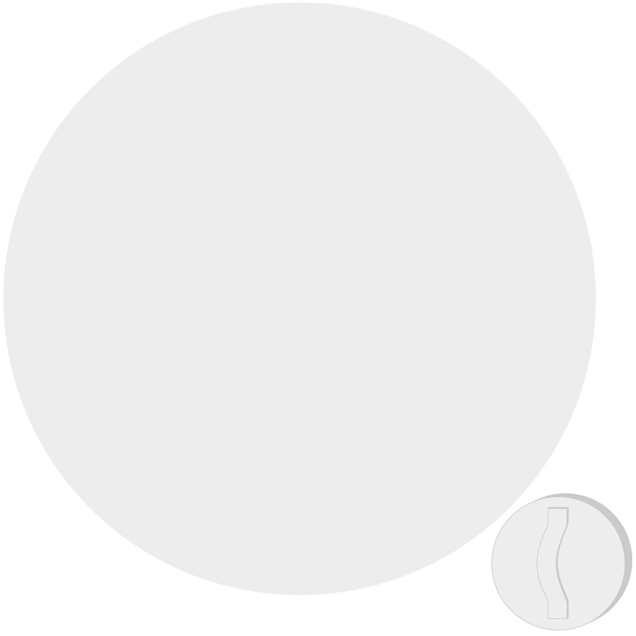 14" Round Shield with Handle 31