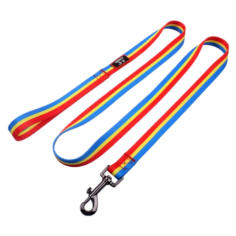 Polyester Dog Leash 3