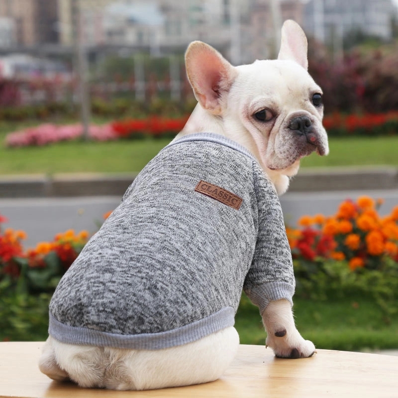 Letters Winter Pet Dog Hoodies Cotton Warm Clothes 3