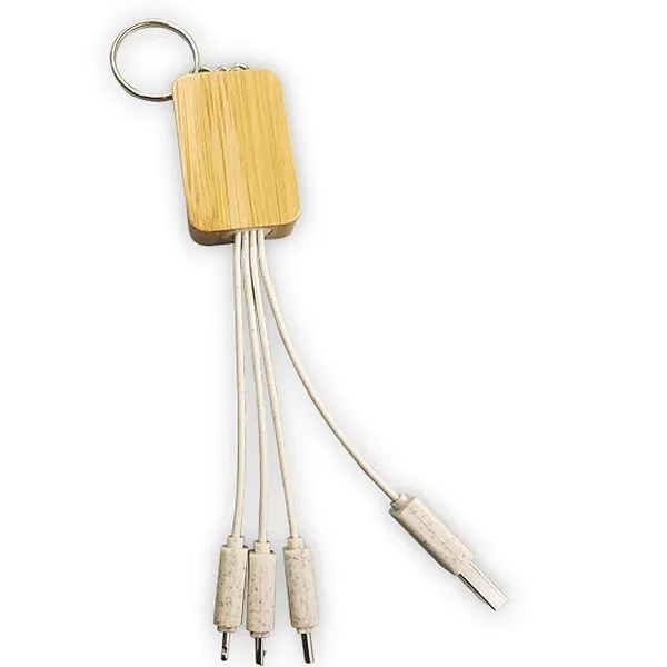 4-in-1 Ecofriendly Charging Cable 5