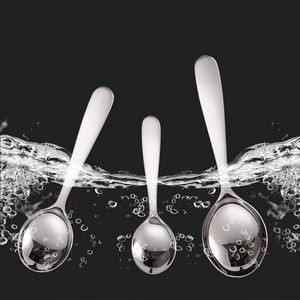Stainless Steel Multipurpose Spoon 16