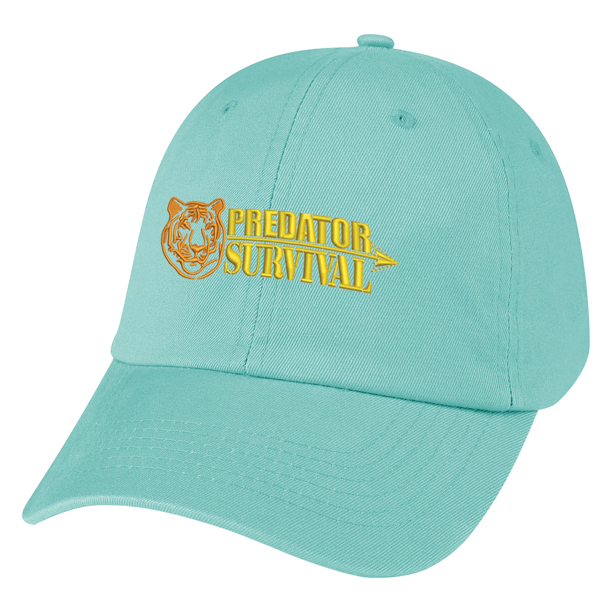 Washed Cotton Cap 18