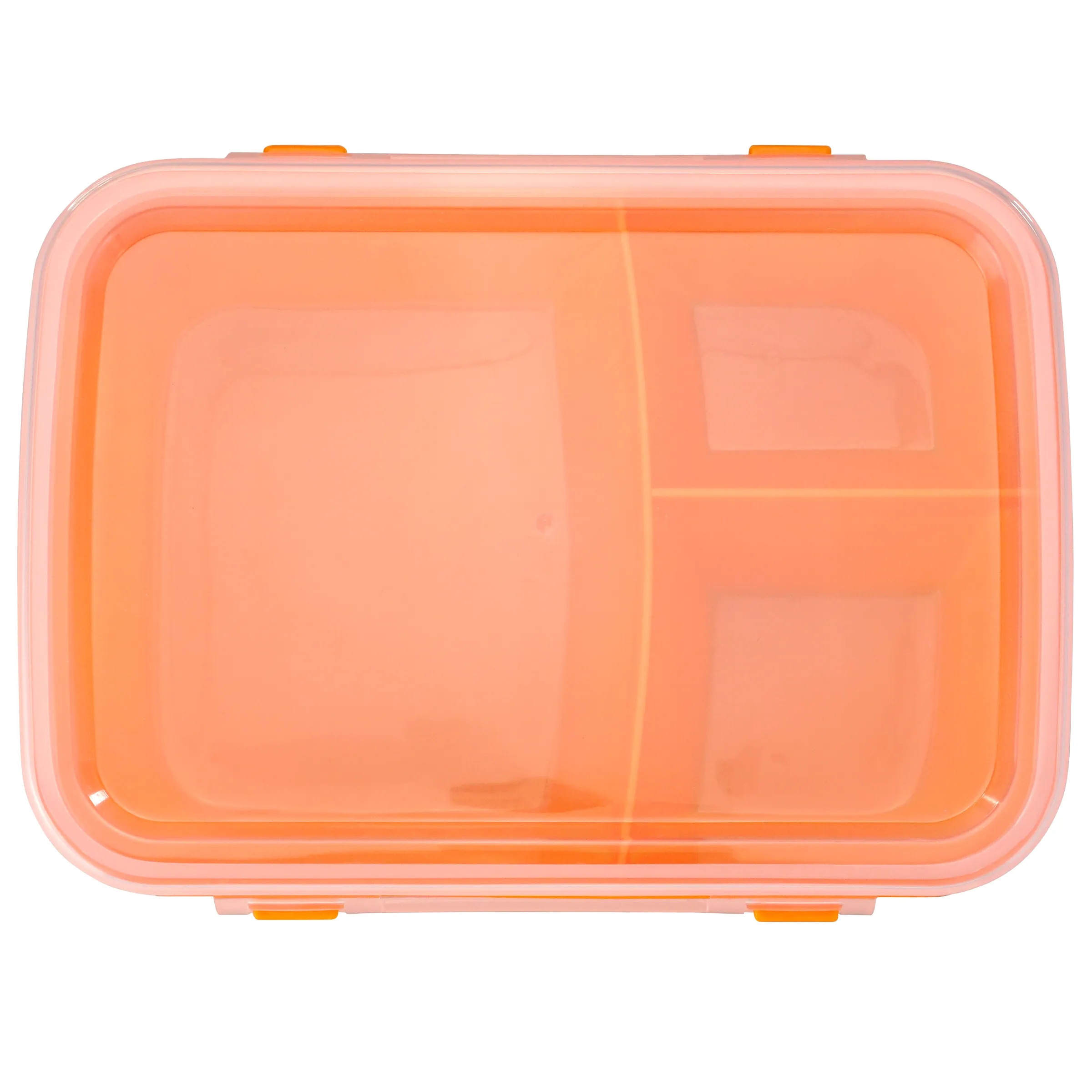 Full Color Lunch To Go Container 16