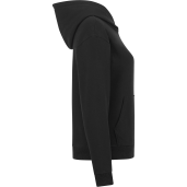 tentree Organic Cotton Classic Hoodie - Women's 8