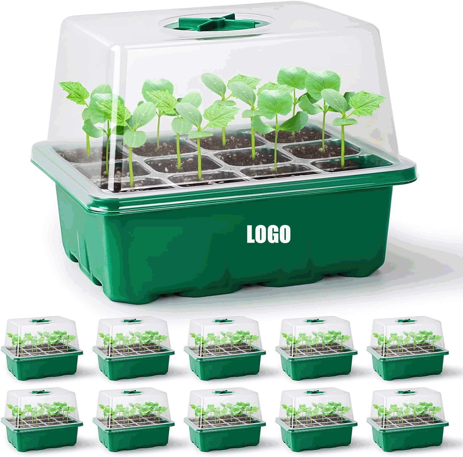 Seed Starter Tray/Seedling Box/Mini Greenhouse Germination Kit 1