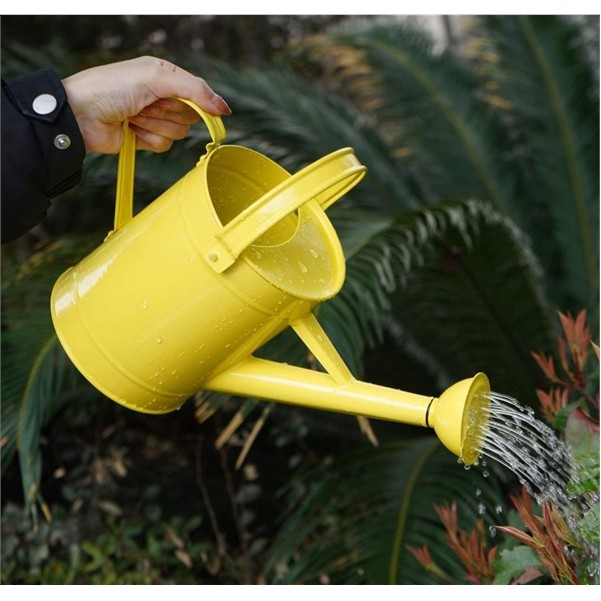 50Oz metal watering cans 3