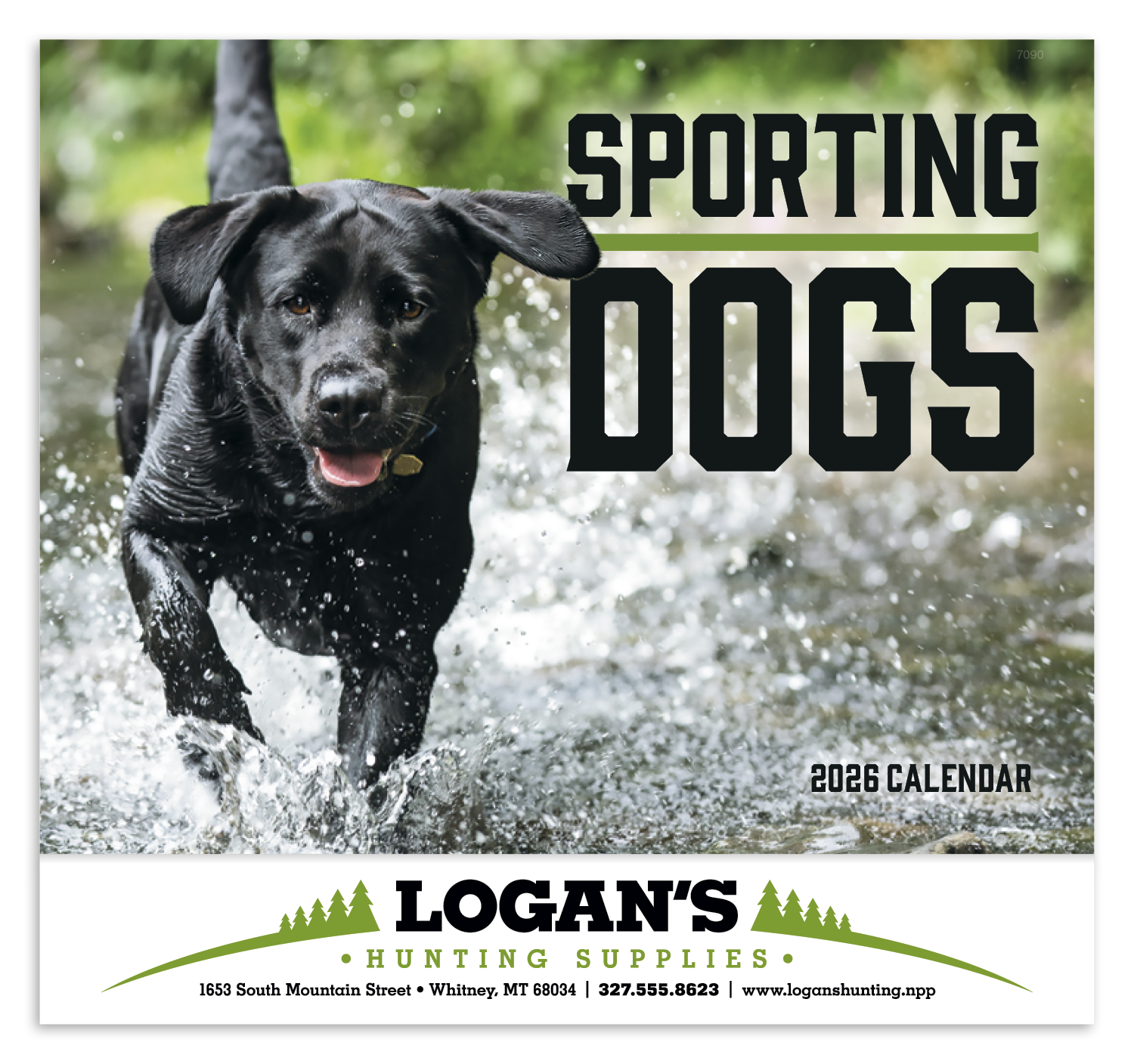 Good Value™ Sporting Dogs - Stapled Calendar 30