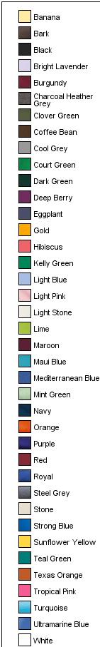 Women's Silk Touch Polo