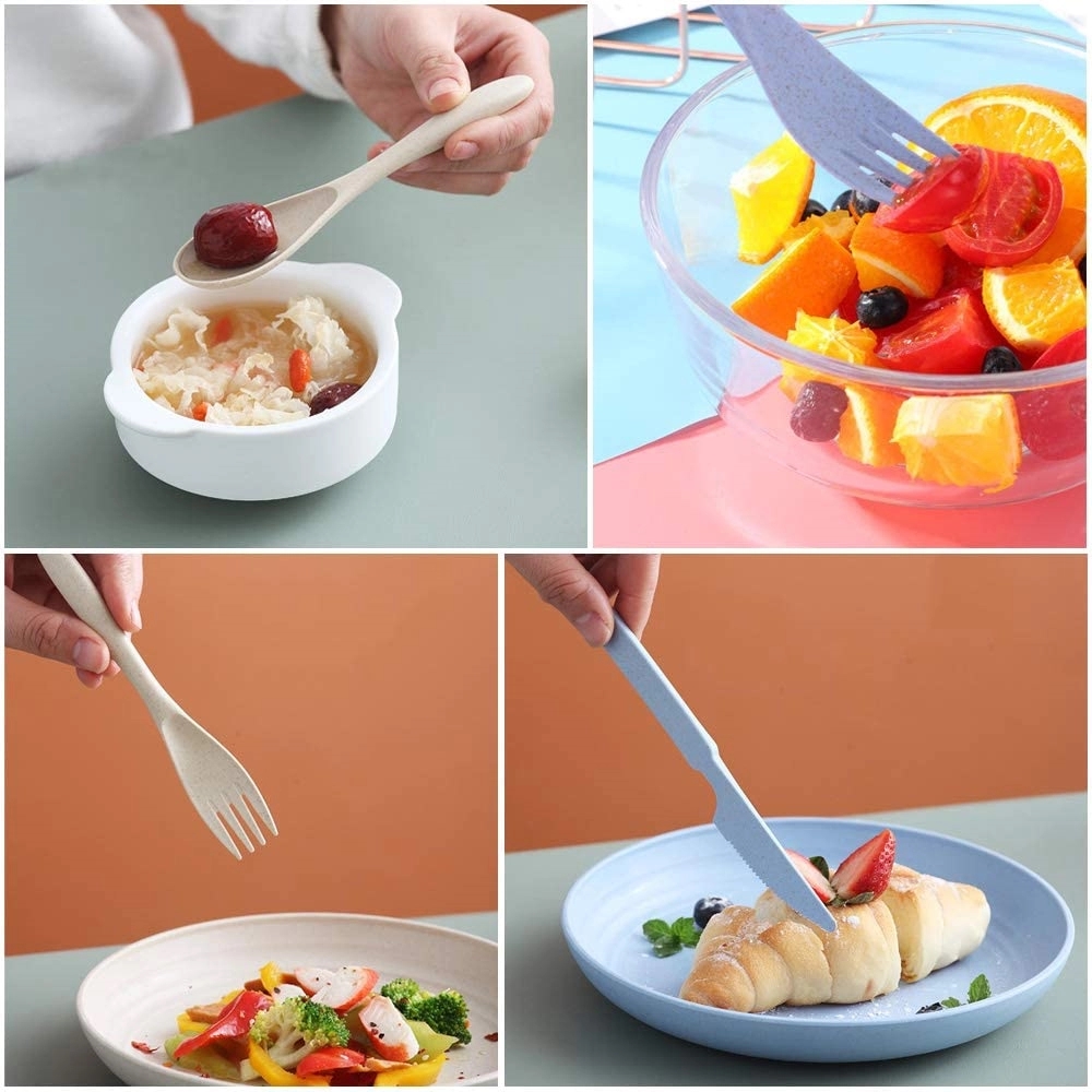Foldable Wheat Straw Tableware Set 2