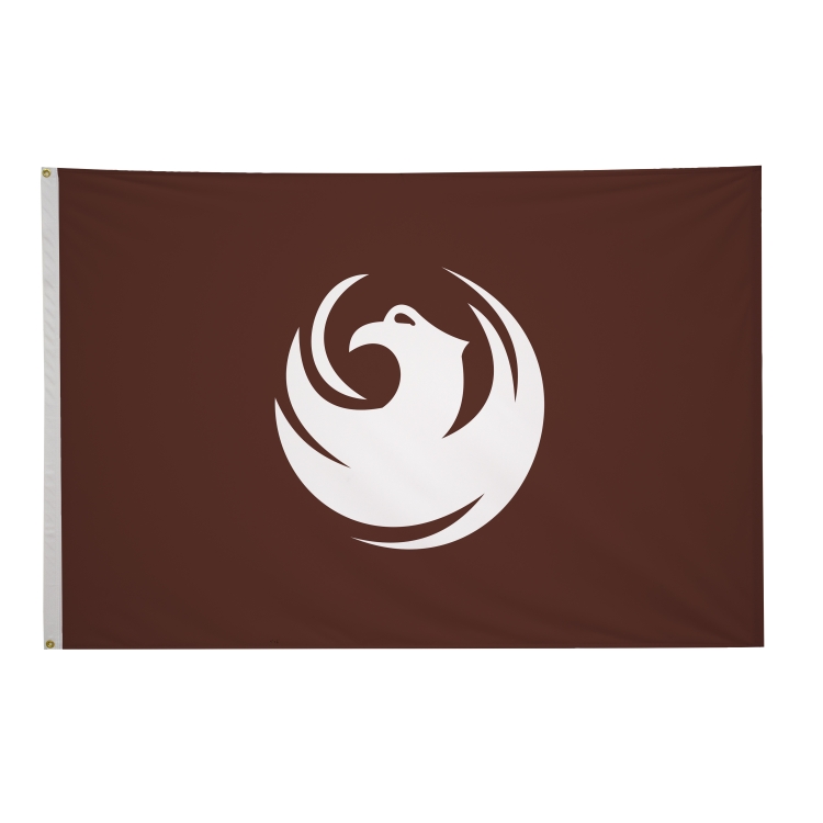 4' x 6' City Flags 13