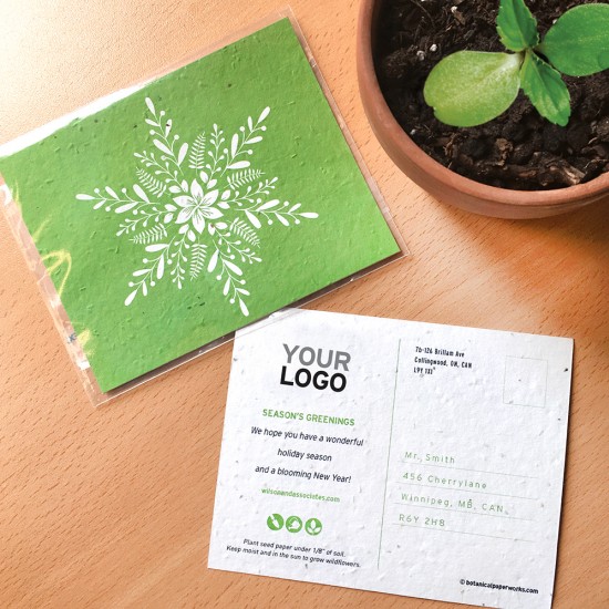 Blooming Snowflake Plantable Holiday Postcards 1