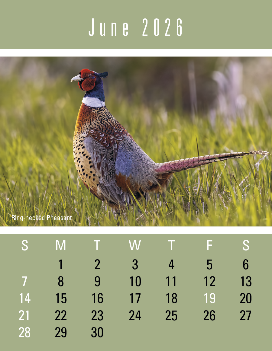 Press-N-Stick Sportsmen Calendar